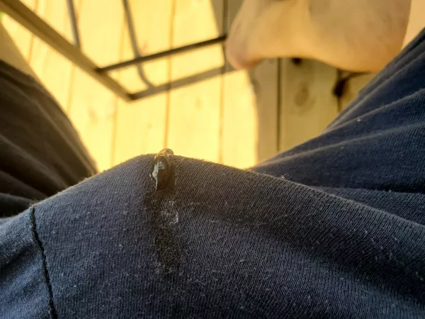 A little excited first thing in the morning. That was just the beginning! by thrower89011