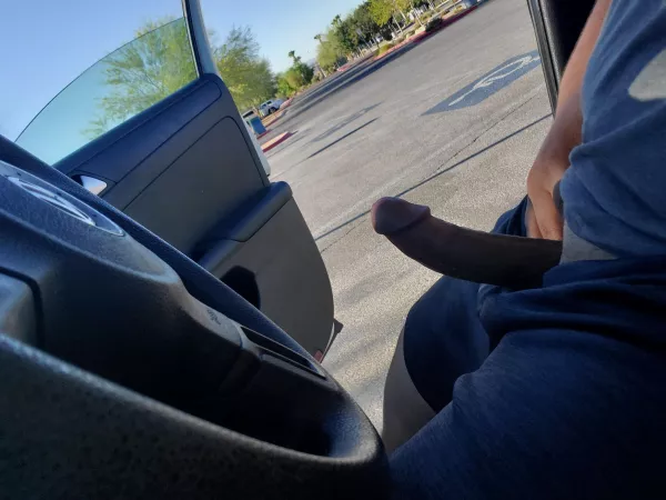 A little fun at the park by thealpha_theomega24