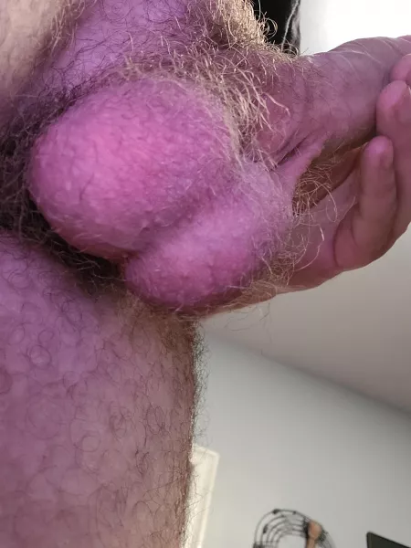 A little hairy but still a good size by mr_dadbod8