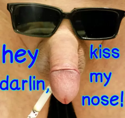 A little meme by piercedJerry