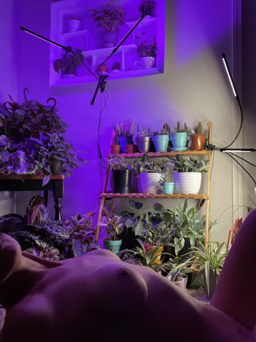 A little morning time before the sun came up this morning. Would love to see your takes by Plantygirl9