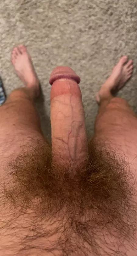 A little morning wood! by Curved2theleft_1