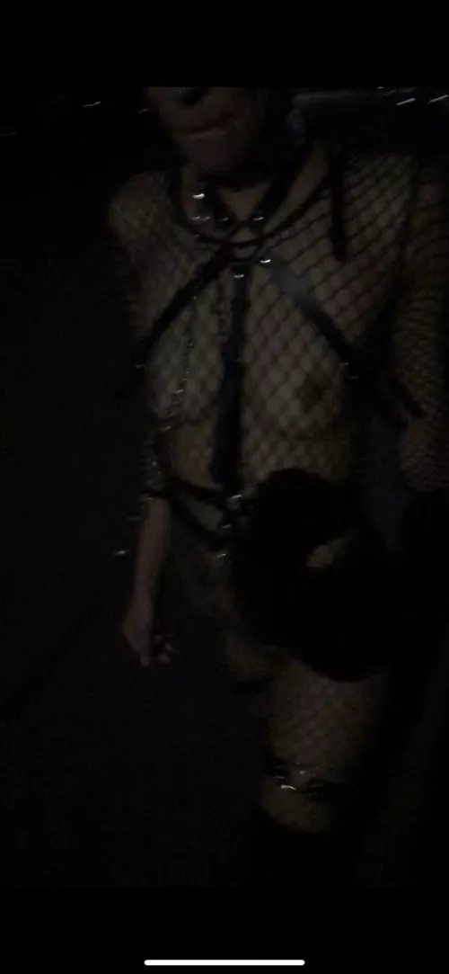 A little night time stroll with Sir by MissladyTease