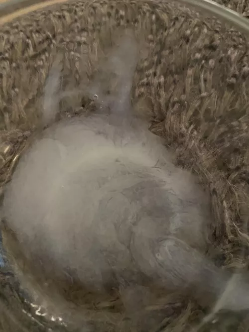 A little of you have been curious how much actually comes out. Here’s an idea 😜🤣 by blahblah01101001