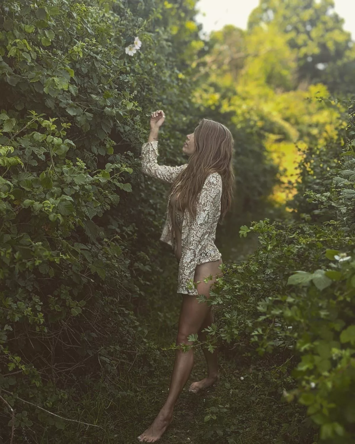 A lonely flower posted by MagicForestNymph