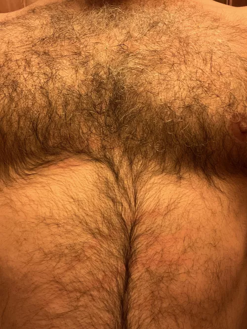 A lot of gray starting to come in… by jatr6690