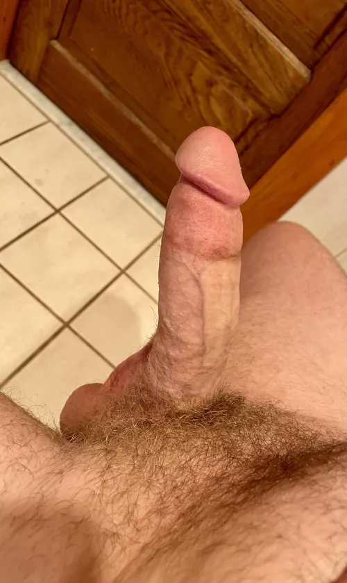 A lot to see by triton_styx