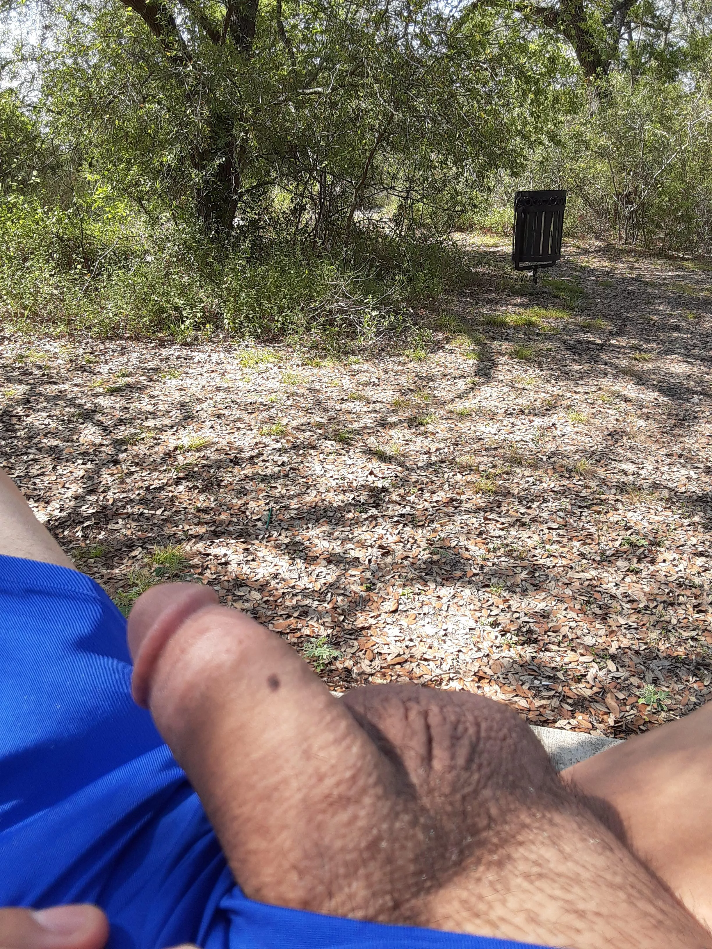 A lovely day to fuck myself at the park. posted by Jaxthecuck