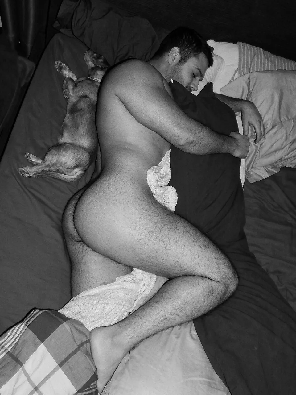 A Loyal Buddy posted by Mad4Reddit