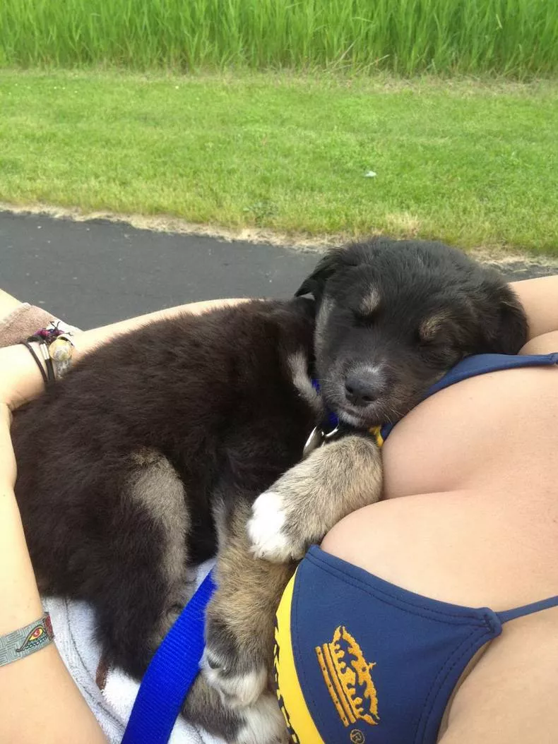 A nice Pillow [Xpost from /r/pics] posted by SomeRandomRedditor