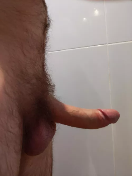 A side view of my growing bush by Jelly-Low