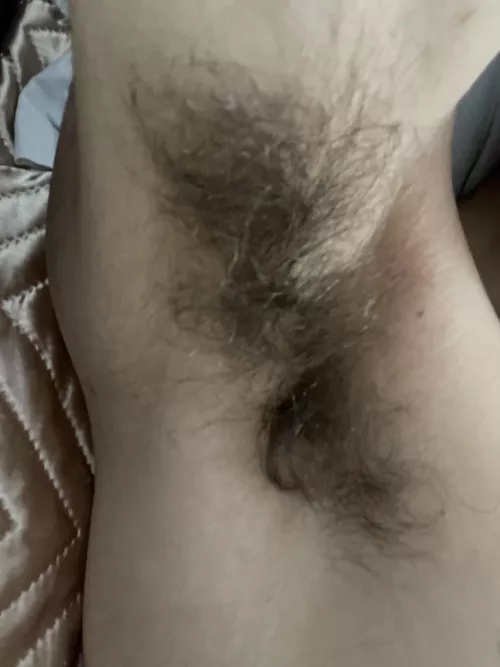 A sniff would be nice by Ecstatic-Switch