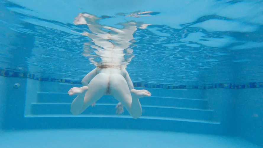 A swim for lunch by josiepcat