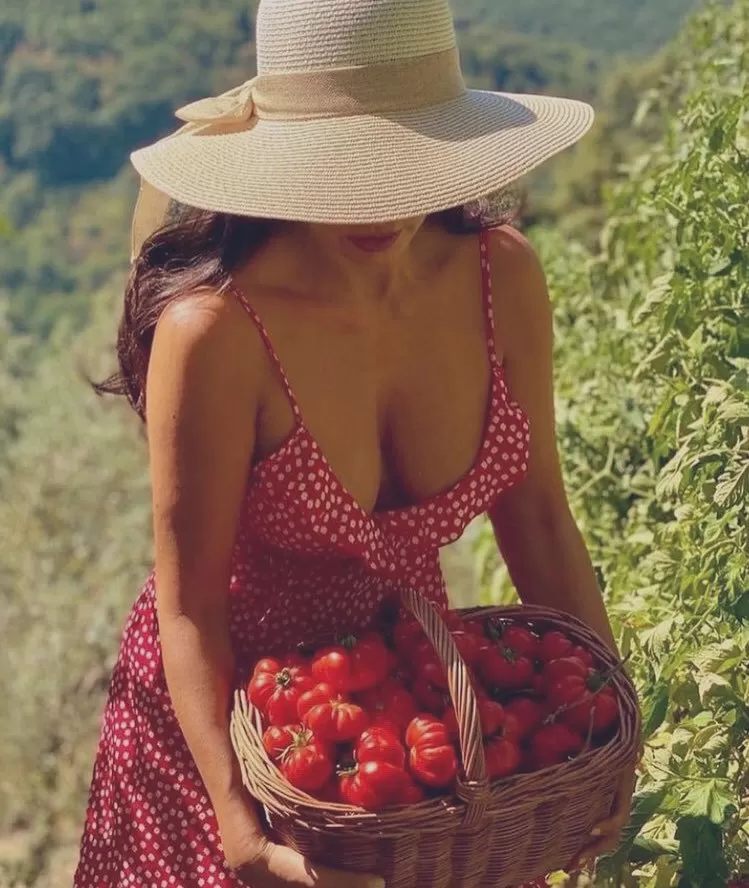 A tomato with tomatoes. posted by Plethorian