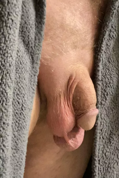 A trimmed up flaccid cock by voyeurme