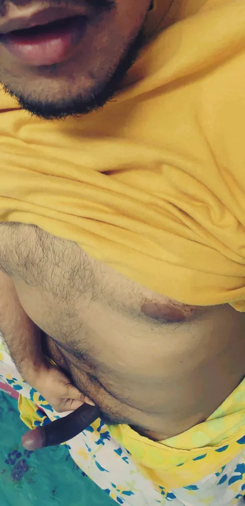 A very happy new year from this indian bear! by brownbonglund