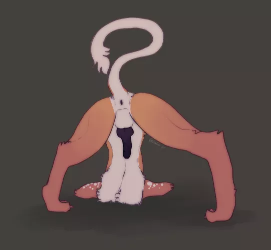 A Very, Very, Very Late Jack-O-Pose (Calisi) by Jack_the_Deergal