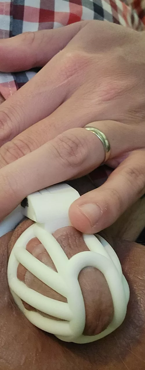 A wedding ring to show he's mine. A cage to remind him. 12 of 31. by nicoleandmatt