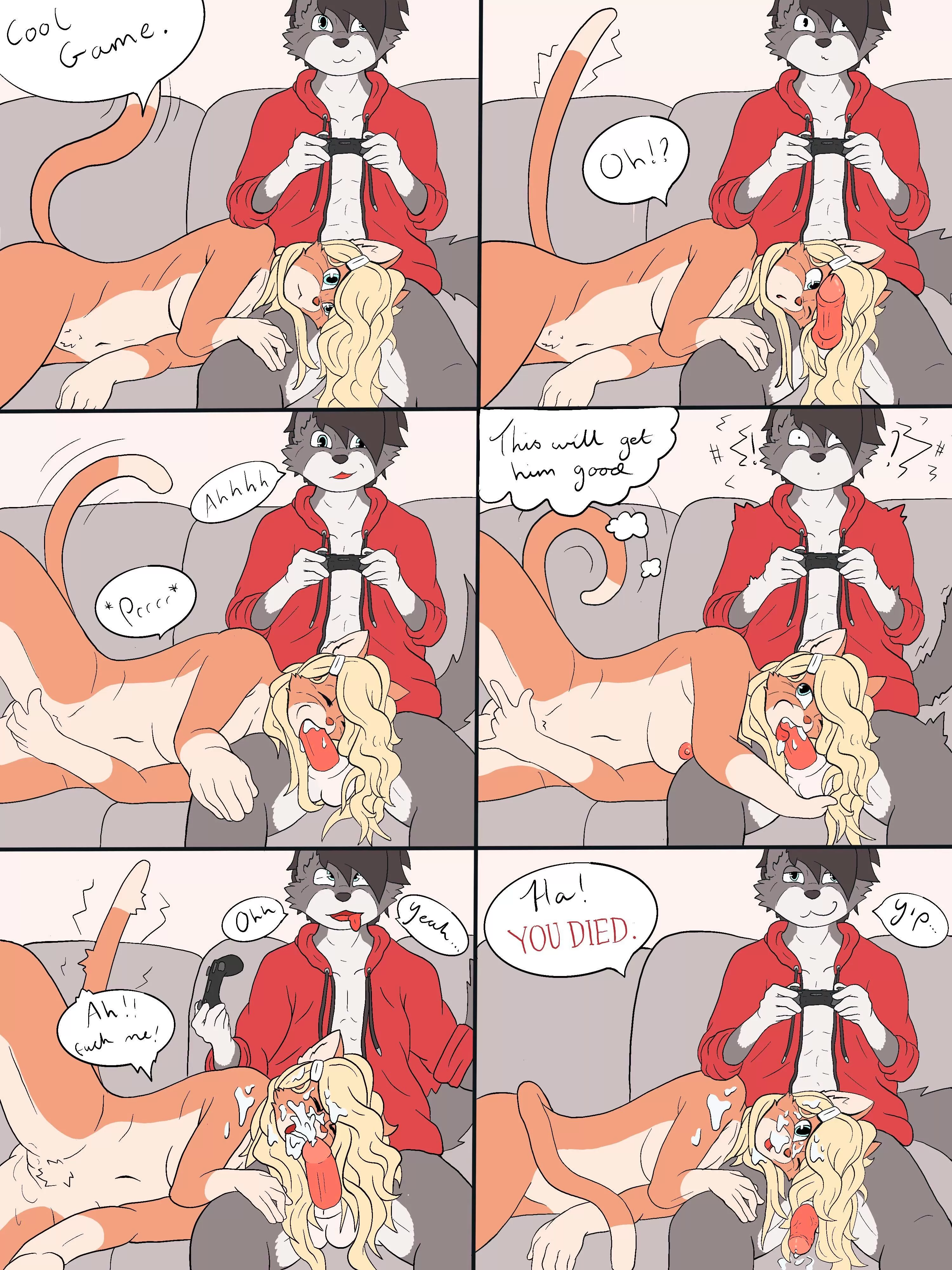 A welcome distraction [MF] (The Fleeting Fox) posted by The_Fleeting_Fox