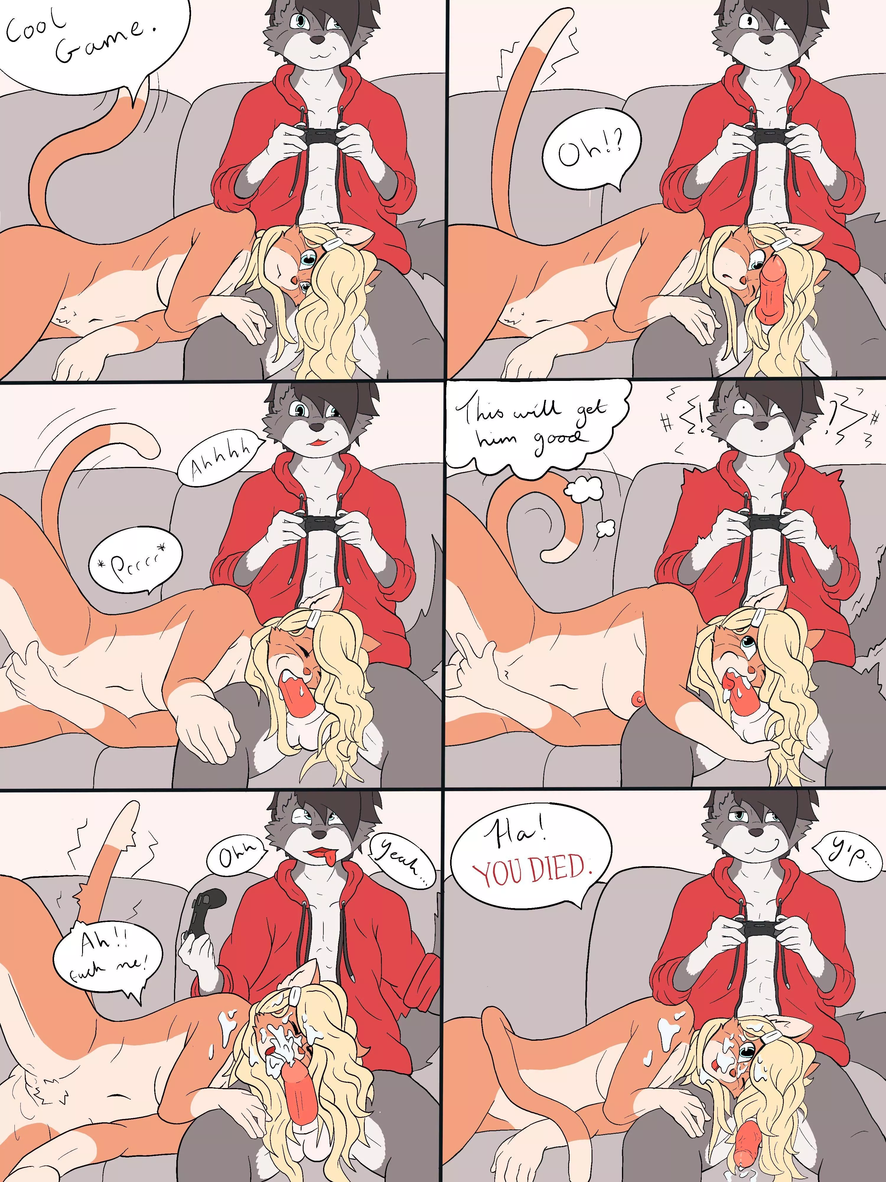 A welcome distraction [MF] (The Fleeting Fox) posted by The_Fleeting_Fox