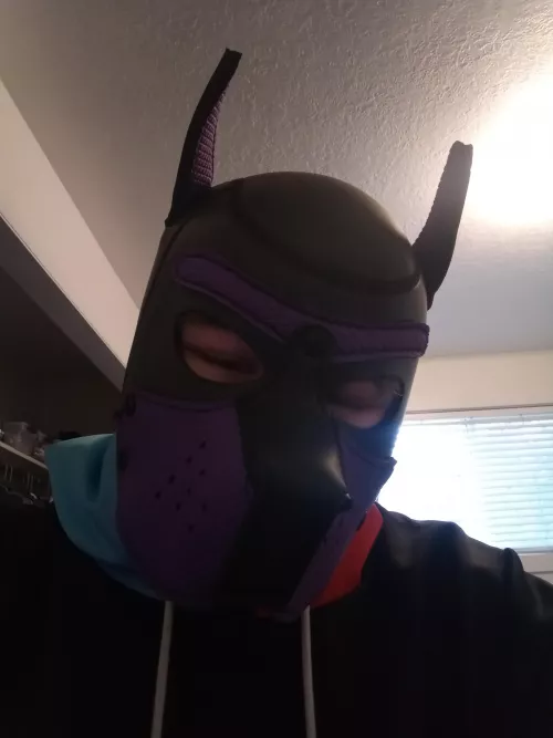 A Wild Pup appeared! Any trainers in Idaho? by Electro125