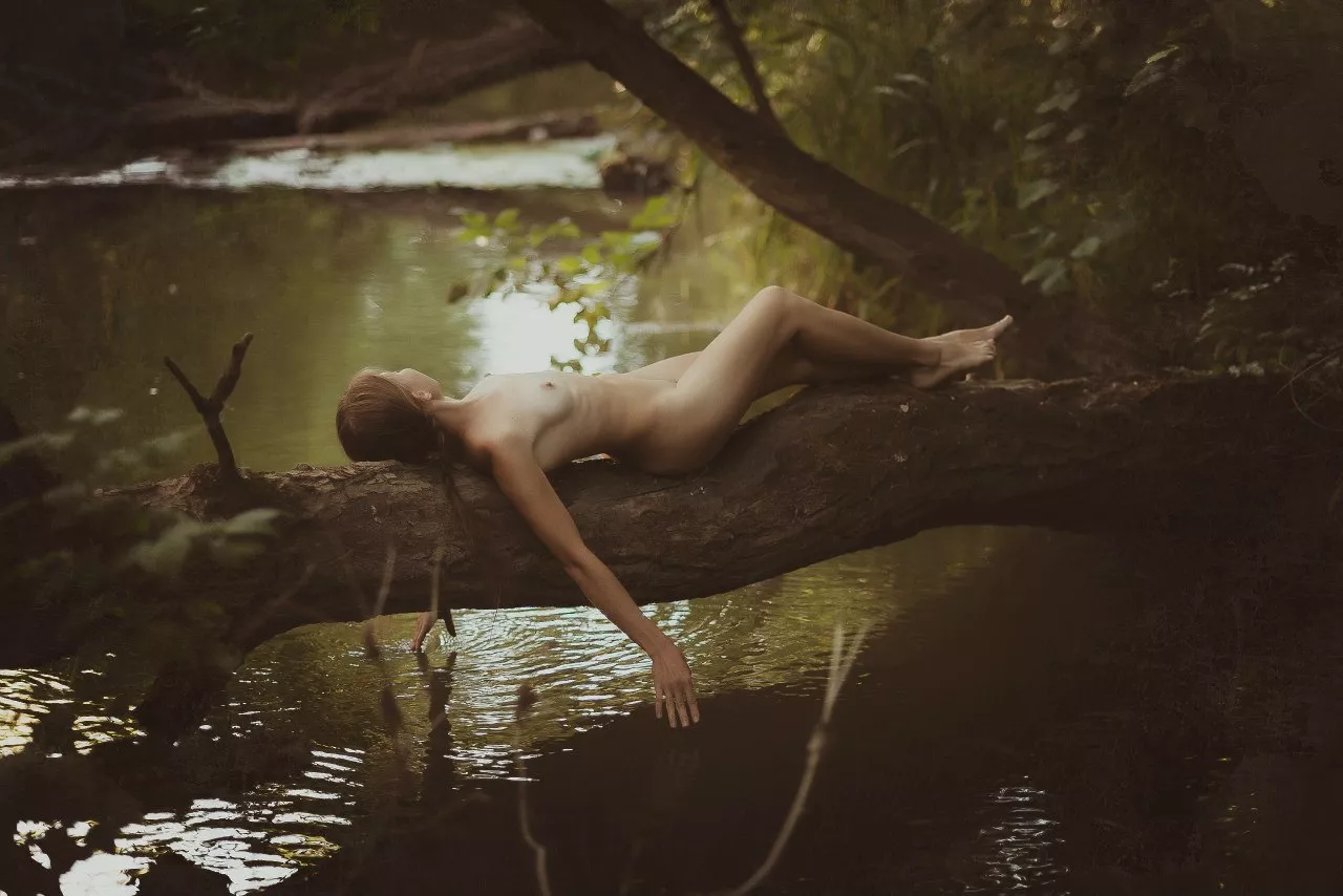 A Woodland Dream posted by fill_it_with_cream