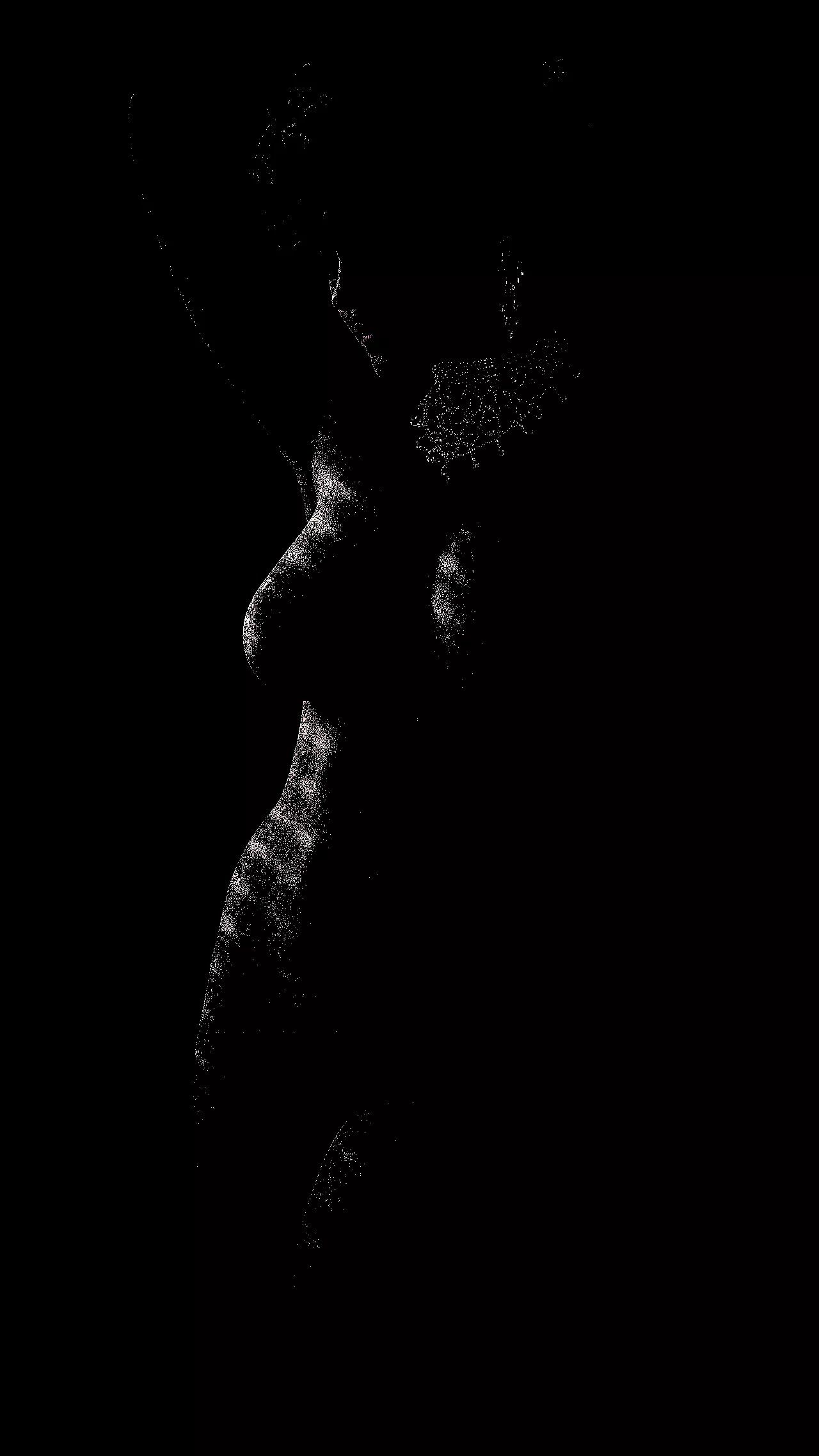 Abc posted by Kirakiraamy