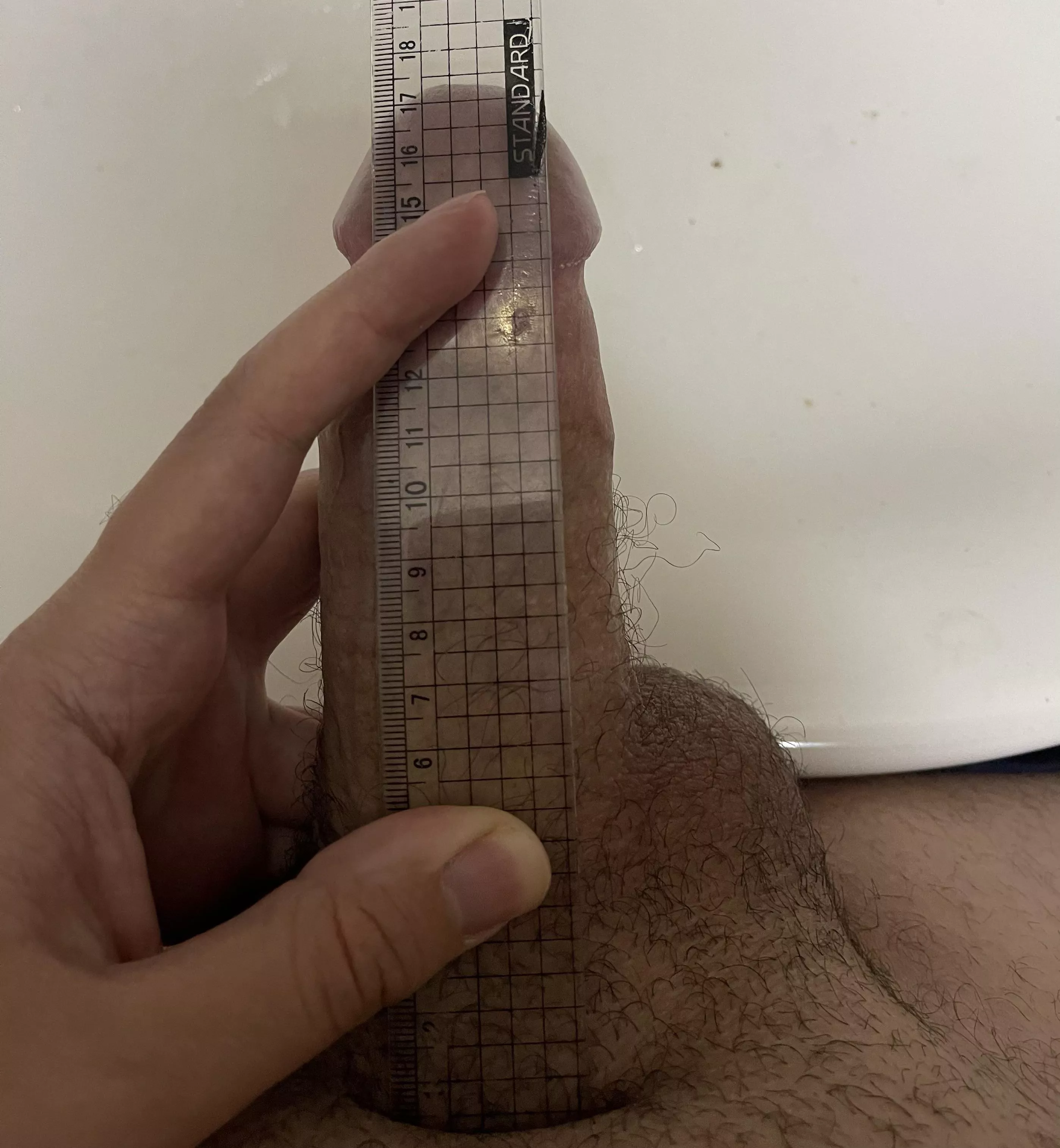 About 17 cm bone pressed , what do u think? posted by dedahosny