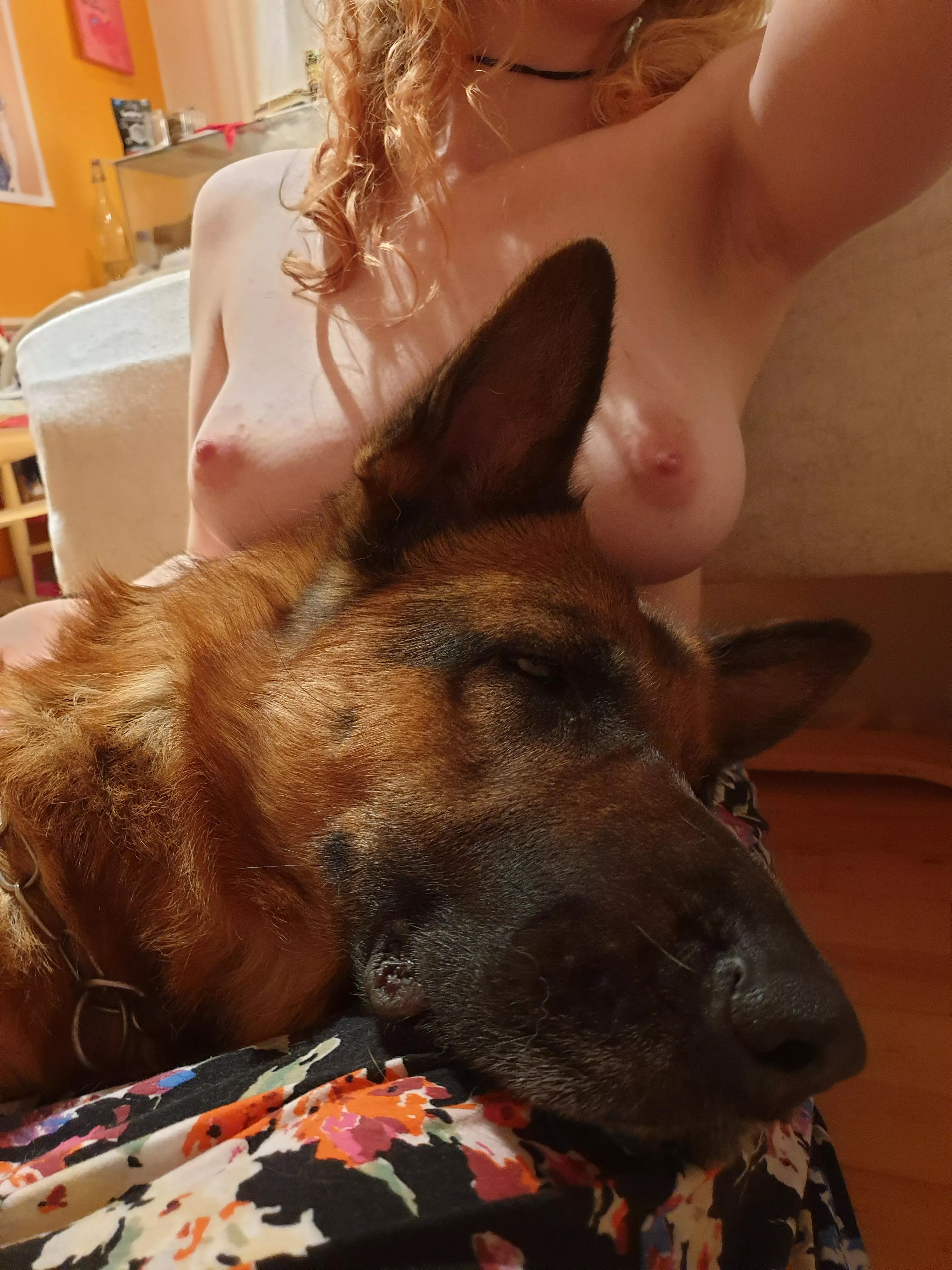 About bedtime for my sweet doggo posted by Secret_Doggo