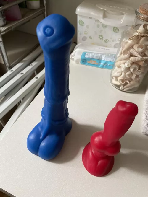 About to get tag tea(m)ed by these two by Upstate_518