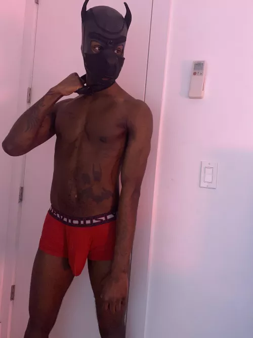 Ace needs a submissive pup as soon as possible by Byllyshort