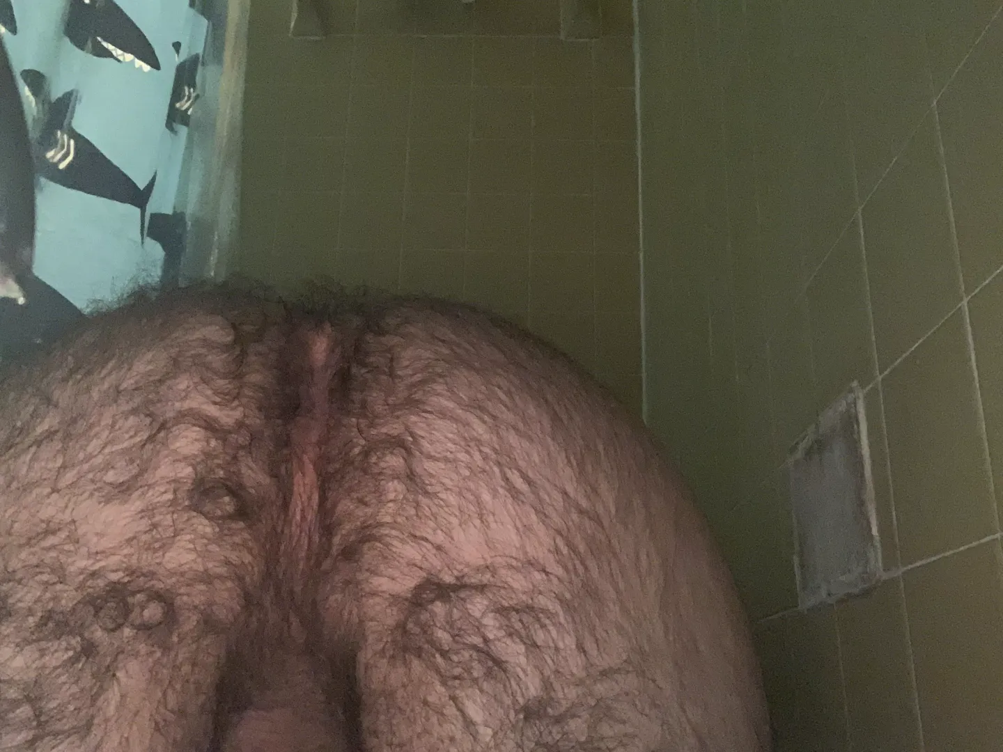 add me on snap @monkeymasn1233 posted by Swing-Fluffy