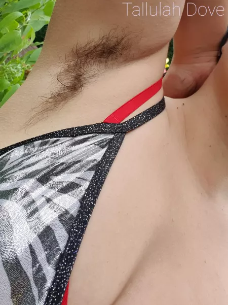 Adding my other pit so the first doesn't get lonely 😂 by tallulahdove