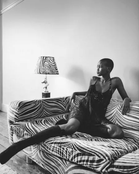 adutZebraStare by frenchyf1