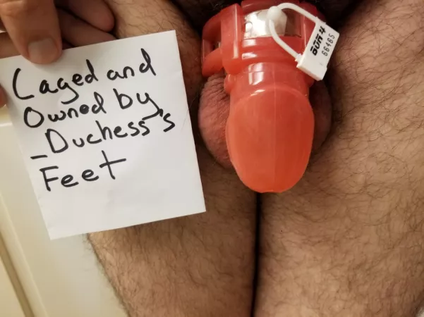 After a few missteps and a cocky start to my return to chastity after 5 years out, my Duchess wanted me on display by Owned_by_Duchess