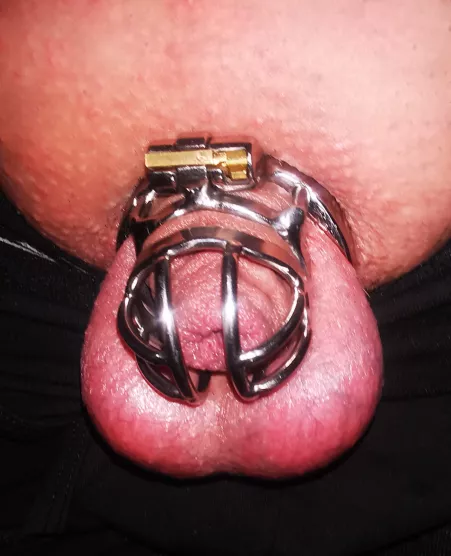 After a year of buying cages too big, I finally found one small enough. We're ready and live for Locktober by postneon