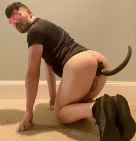 After the gym this morning I needed to fill my pup hole. by white-pup