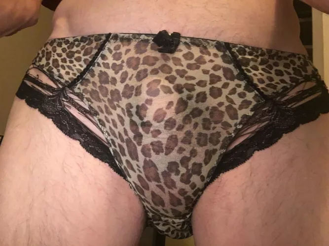 After work panty by Macpanty