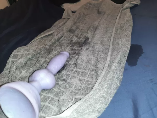 Aftermath of Rex, just need to get one with a tube now! by tanglespace