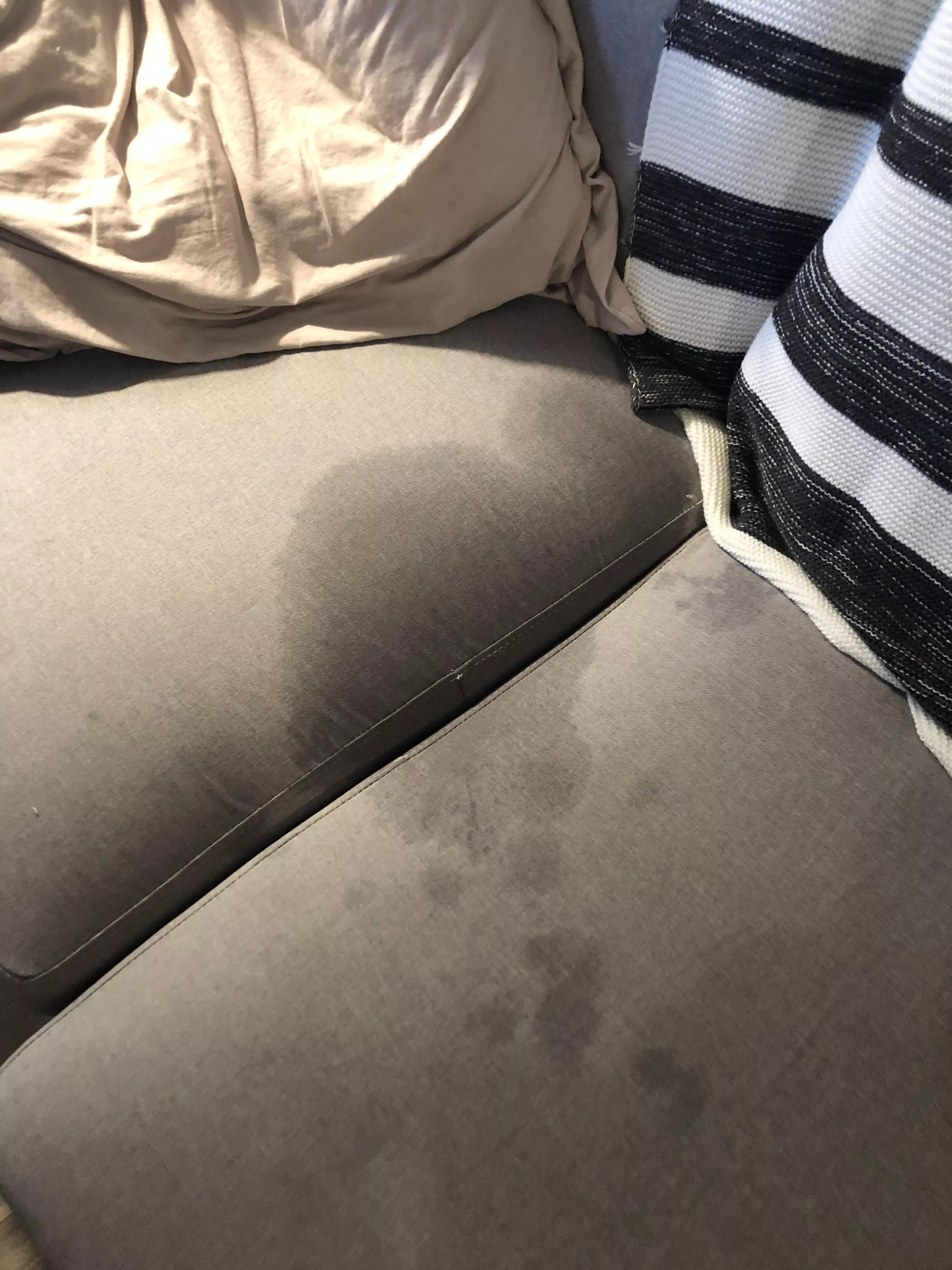 Aftermath 💦 still cleaning my couch 🙄 posted by Cutieincalvins1020