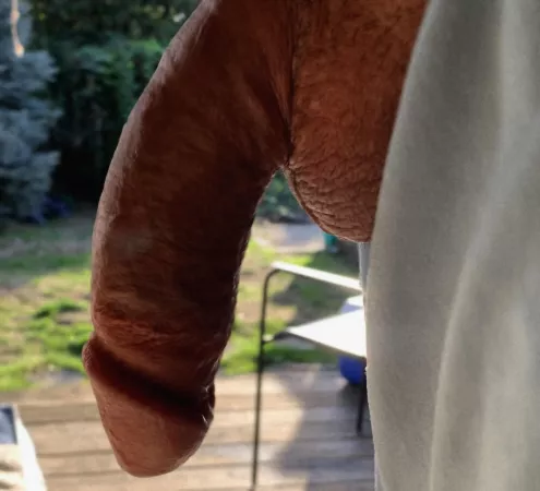 Afternoon Light by AVERAGE_BUT_GIRTHY