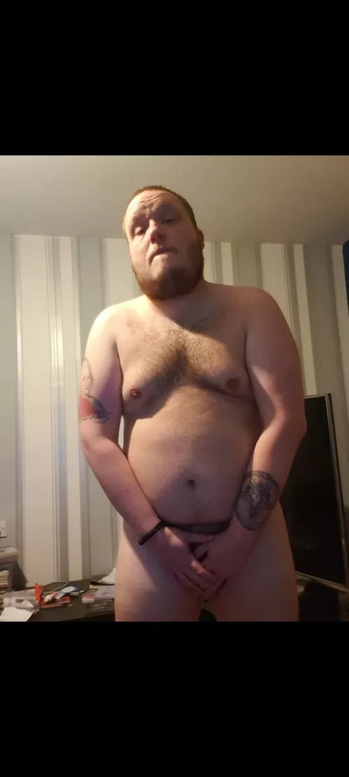 Afternoon by DMBear89