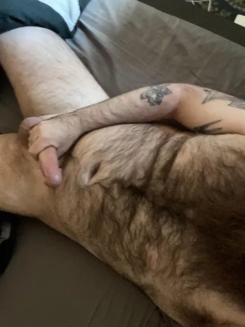 Afternoon wood by bigrredbeard123