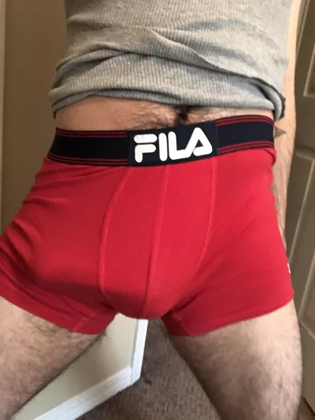 Afternoon-morning wood by DanteDarkblood