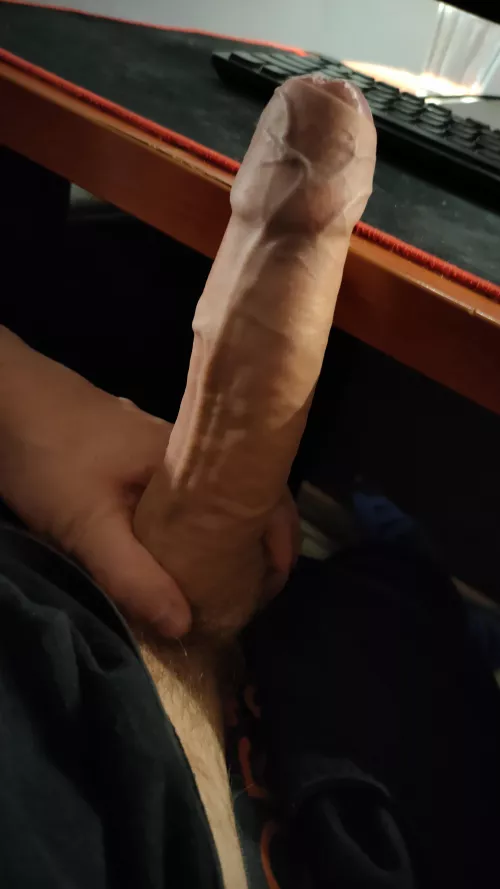 Again. sorry for that lightning by JustMyPicsIGuess