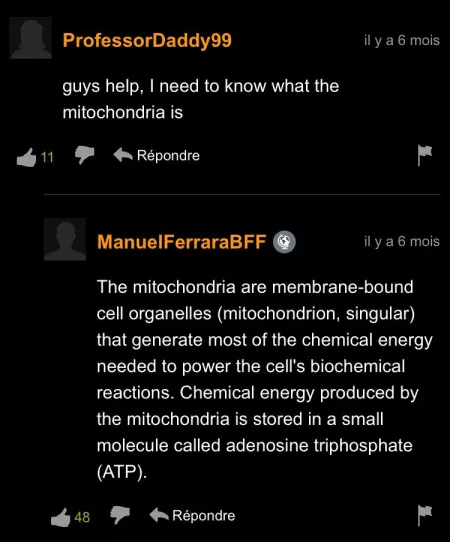 Ah yes, pornhub; the educatory online classroom. by Twmpz