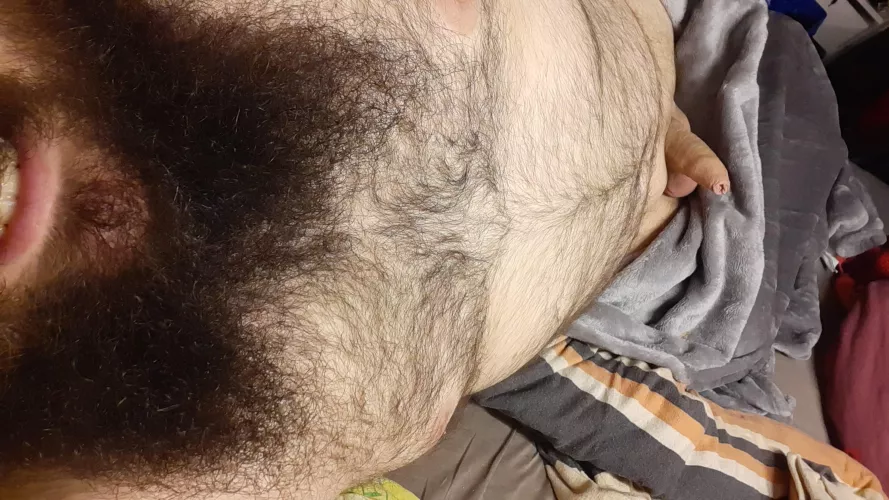 Ah yes the evening wood by BlaiddDrewg