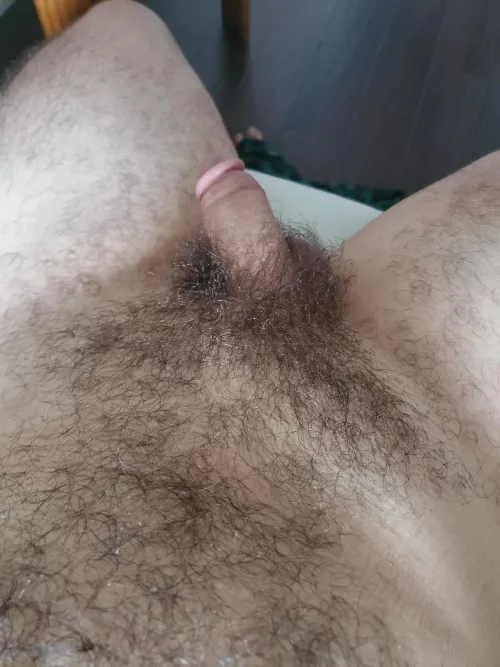 Airing out this morning by Norvino6140