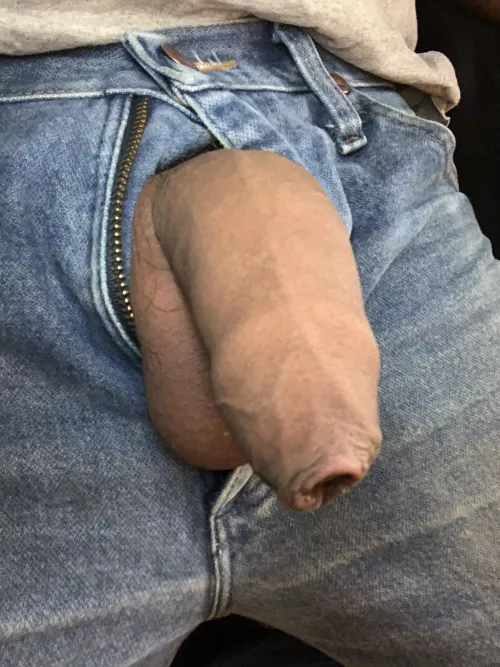 All covered up cuz it’s cold by steliio14