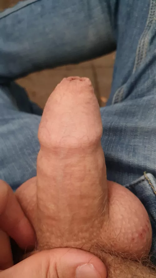 All covered by Bliblablub10